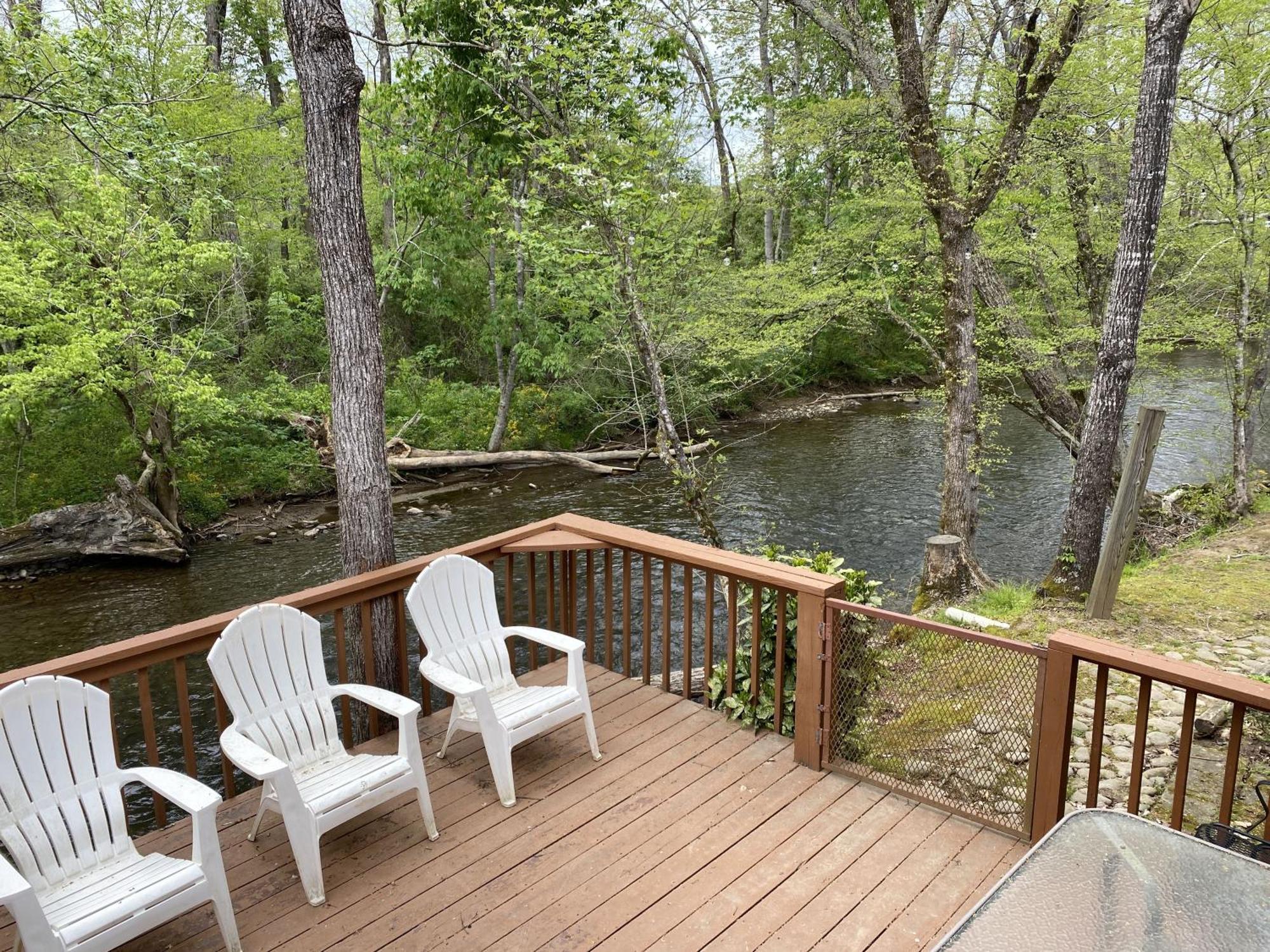 Gray'S Place On Cosby Creek - 2 Bedrooms, 2 Baths, Sleeps 6 Home Екстериор снимка