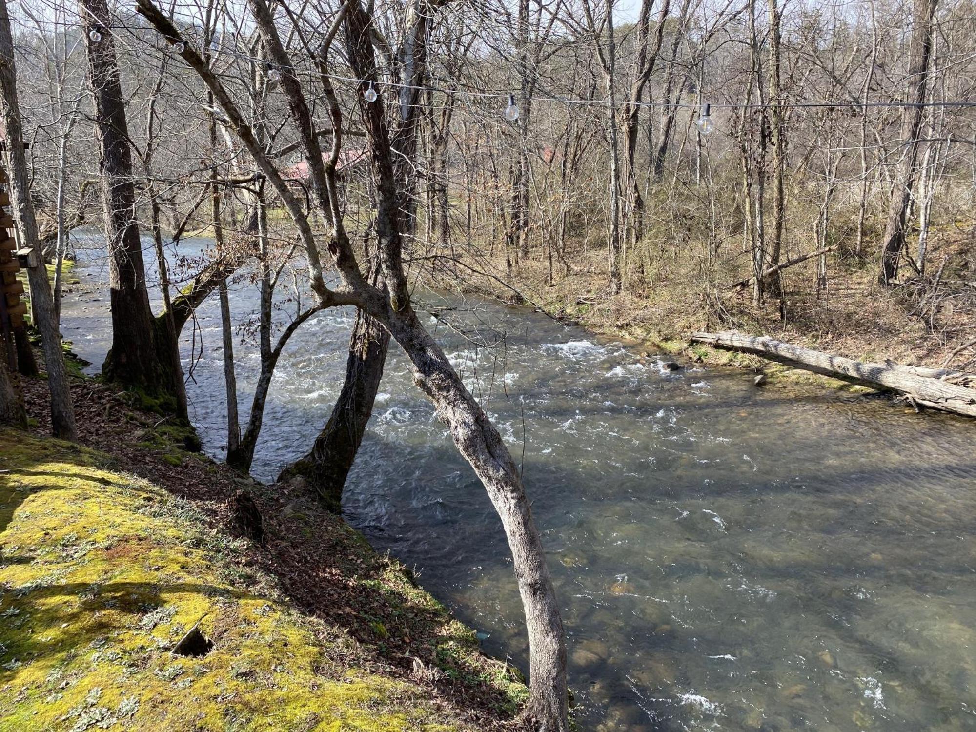 Gray'S Place On Cosby Creek - 2 Bedrooms, 2 Baths, Sleeps 6 Home Екстериор снимка
