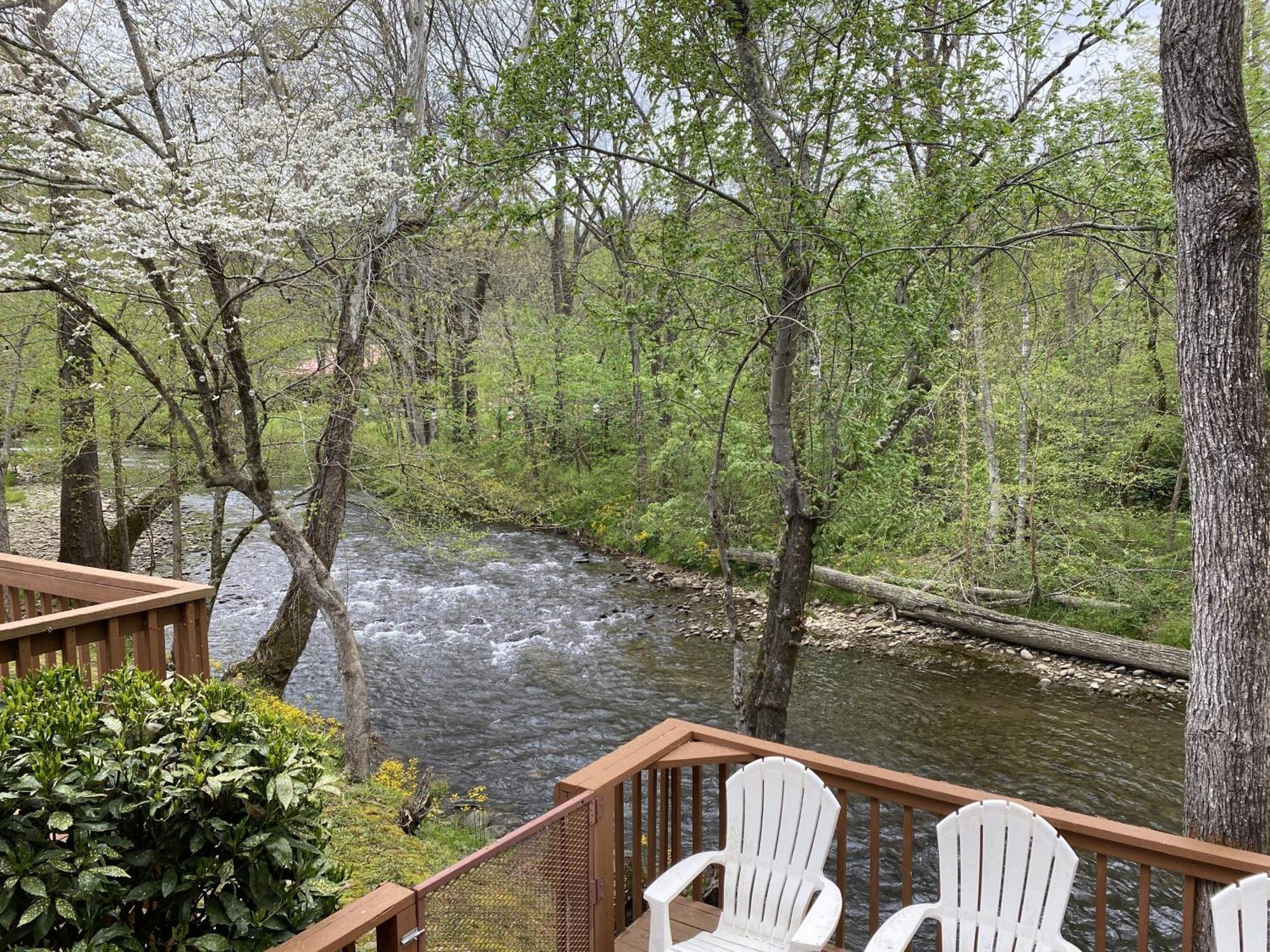 Gray'S Place On Cosby Creek - 2 Bedrooms, 2 Baths, Sleeps 6 Home Екстериор снимка